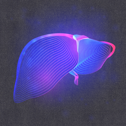 Nunchi Notes 002: What Does the Liver Actually Do? (Besides Deserve a Raise)